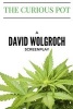 The Curious Pot (Paperback) - David Wolgroch Photo