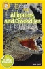 Alligators and Crocodiles (Paperback) - Laura Marsh Photo