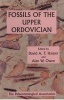 Fossils of the Upper Ordovican (Paperback, Number 7) - David Harper Photo