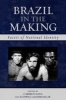 Brazil in the Making - Facets of National Identity (Paperback) - Carmen Nava Photo