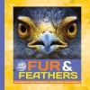 Fur & Feathers - A Close-Up Photographic Look Inside Your World (Hardcover) - Heidi Fiedler Photo