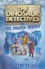 The Dinosaur Detectives in the Frozen Desert (Paperback) - Stephanie Baudet Photo