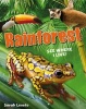 Rainforest See Where I Live! - Age 6-7, Below Average Readers (Paperback) - Sarah Levete Photo