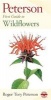 First Guide to Wildflowers (Paperback, 2nd Revised edition) - Roger Tory Peterson Photo