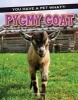 Pygmy Goat (Hardcover) - Karen Kenney Photo