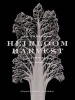 Heirloom Harvest - Modern Daguerreotypes of Historic Garden Treasures (Hardcover) - Amy Goldman Photo