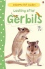 Looking After Gerbils (Hardcover) - Laura Howell Photo