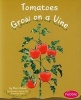 Tomatoes Grow on a Vine (Paperback) - Mari Schuh Photo