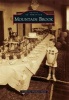 Mountain Brook (Paperback) - Catherine Pittman Smith Photo