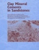 Clay Mineral Cements in Sandstones (Paperback) - Richard Worden Photo