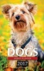 Dogs Weekly Planner 2017 - 16 Month Calendar (Paperback) - David Mann Photo