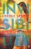 Invisibility (Paperback) - David Levithan Photo