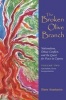 The Broken Olive Branch, v. 2: Nationalism Versus Europeanization (Hardcover, New) - Harry Anastasiou Photo