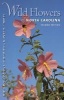 Wild Flowers of North Carolina (Paperback, 2nd Revised edition) - William S Justice Photo