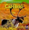 Caribou (Paperback) - Roman Patrick Photo