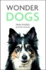 Wonder Dogs - True Stories of Canine Courage (Paperback) - Ben Holt Photo