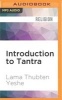 Introduction to Tantra - The Transformation of Desire (MP3 format, CD) - Lama Thubten Yeshe Photo