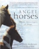 Angel Horses - Divine Messengers of Hope (Paperback) - Linda Anderson Photo