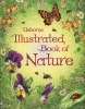 Usborne Illustrated Book of Nature (Hardcover) - Phillip Clarke Photo