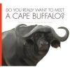 Do You Really Want to Meet a Cape Buffalo? (Hardcover) - Cari Meister Photo