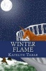 Winter Flame (Paperback) - Katelyn Tabar Photo