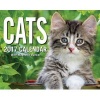 Cats 2017 Mini Day-To-Day Calendar (Calendar) - Andrews McMeel Publishing Photo