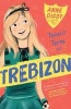 The Tennis Term at Trebizon (Paperback) - Anne Digby Photo