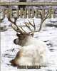 Reindeer! an Educational Children's Book about Reindeer with Fun Facts & Photos (Paperback) - Abby Daniele Photo