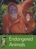 Endangered Animals (Paperback) - Blakes Photo