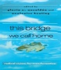 This Bridge We Call Home - Radical Visions for Transformation (Hardcover) - AnaLouise Keating Photo