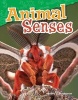 Animal Senses (Grade 4) (Paperback) - Shelly Buchanan Photo