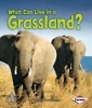 What Can Live in a Grassland? (Paperback) - Sheila Anderson Photo