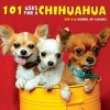 101 Uses for a Chihuahua (Hardcover) - Willow Creek Press Photo