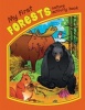 My First Forests Nature Activity Book (Novelty book) - James Kavanagh Photo