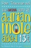 The Secret Diary of Adrian Mole Aged Thirteen and Three Quarters (Paperback, Re-Issue Ed) - Sue Townsend Photo
