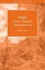 Anger - How to Handle it During Recovery (Pamphlet) - Becky Sisco Photo