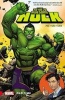 The Totally Awesome Hulk Vol. 1: Cho Time, Vol. 1 (Paperback) - Greg Pak Photo