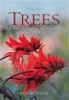 Pooleys Trees of Eastern South Africa (Paperback, 2nd) - Richard Boon Photo