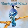 Cal 2017 Backyard Birds (Calendar) - TF Publishing Photo