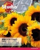 Studio AQA GCSE French Higher Student Book (Paperback) - Clive Bell Photo