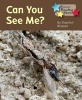 Can You See Me (Paperback) - Stephen Rickard Photo