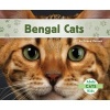 Bengal Cats (Hardcover) - Grace Hansen Photo