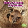 Baby Animals in Pouches (Hardcover) - Martha E Rustad Photo