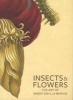 Insects and Flowers - The Art of Maria Sibylla Merian (Paperback) - David Brafman Photo