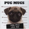 Pug Mugs (Hardcover) - Willow Creek Press Photo