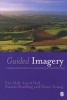 Guided Imagery - Creative Interventions in Counselling and Psychotherapy (Paperback, 1st New edition) - Eric Hall Photo