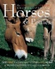 The Complete Illustrated Encyclopedia of Horses & Ponies (Hardcover, New edition) - Catherine Austen Photo