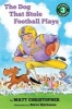 The Dog That Stole Football Plays (Paperback) - Matt Christopher Photo