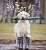 365 Reasons to Smile - In Thoughts and Pictures (Hardcover) - White Star Photo