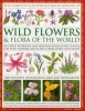 The Complete Illustrated Encyclopedia of Wild Flowers & Flora of the World - An Expert Reference and Identification Guide to Over 1730 Wild Flowers and Plants from Every Continent: 3800 Beautiful Watercolours, Maps and Photographs (Hardcover) - Michael La Photo